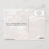 Minerva und Centaur von Sandro Botticelli Postkarte (Rückseite)