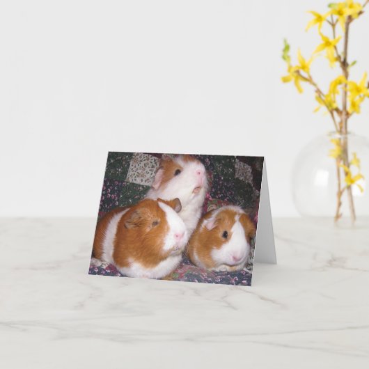 Minerva und Freunde Notecard Karte (Gelbe Blume)