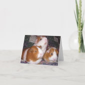 Minerva und Freunde Notecard Karte (Vorderseite)