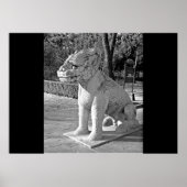 Ming Tombs Dragon B&W Poster (Vorne)