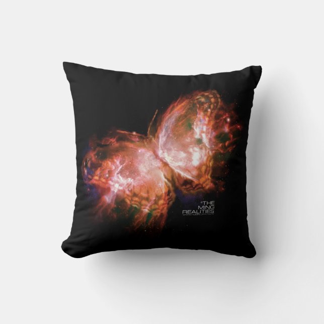 MING WIRKLICHKEITS-BUCH EINS: MING KISSEN (Vorderseite)