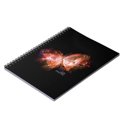 MING WIRKLICHKEITS-BUCH EINS: MING NOTIZBLOCK (Linke Seite)