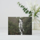 Mingo Falls Postkarte (Stehend Vorderseite)