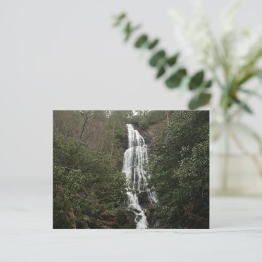 Mingo Falls Postkarte (Stehend Vorderseite)
