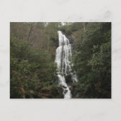 Mingo Falls Postkarte (Vorderseite)