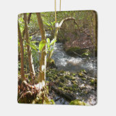 Mingus Creek at Smoky Mountains Keramikornament (Links)