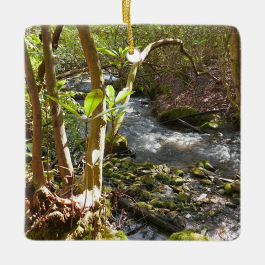 Mingus Creek at Smoky Mountains Keramikornament (Vorderseite)