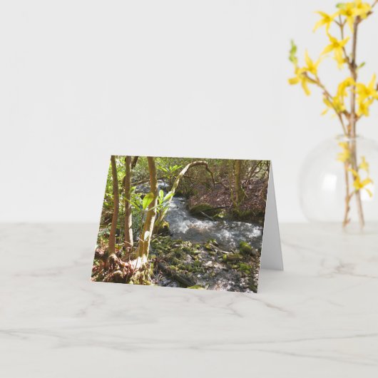 Mingus Creek auf den Smoky-Bergen Karte (Gelbe Blume)