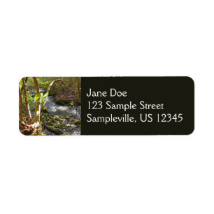 Mingus Creek in den Smoky Mountains