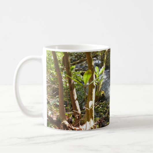 Mingus Creek in den Smoky Mountains Kaffeetasse (Links)