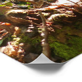 Mingus Creek in den Smoky Mountains Poster (Ecke)