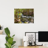 Mingus Creek in den Smoky Mountains Poster (Heimbüro)