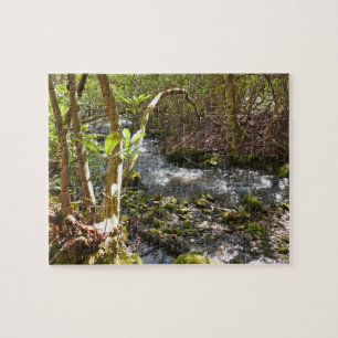 Mingus Creek in den Smoky Mountains Puzzle