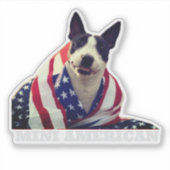 MINI AMERICAN Aufkleber (Vorderseite)