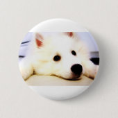 Mini American Eskimo Button (Vorderseite)