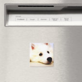 Mini American Eskimo Magnet (In Situ (Geschirrspüler))