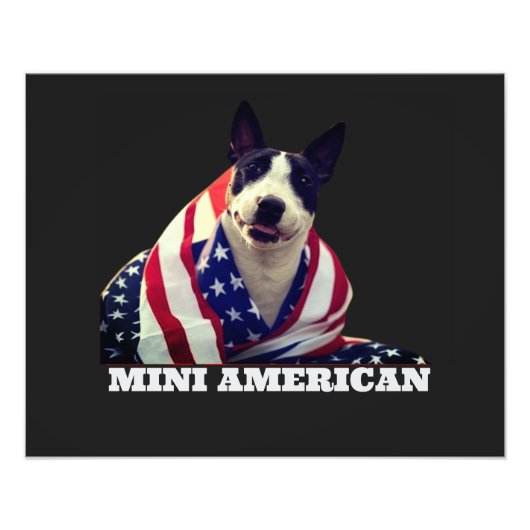 MINI AMERICAN FOTODRUCK (Vorne)
