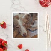 Mini American Shepherd Red Merle Sleeping Serviette (Beispiel)