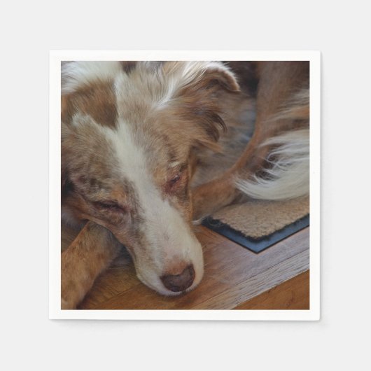 Mini American Shepherd Red Merle Sleeping Serviette (Vorderseite)