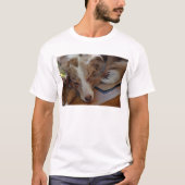Mini American Shepherd Red Merle Sleeping T-Shirt (Vorderseite)