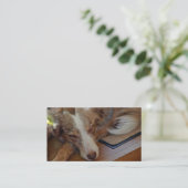 Mini American Shepherd Red Merle Sleeping Visitenkarte (Stehend Vorderseite)