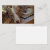 Mini American Shepherd Red Merle Sleeping Visitenkarte (Vorne/Hinten)