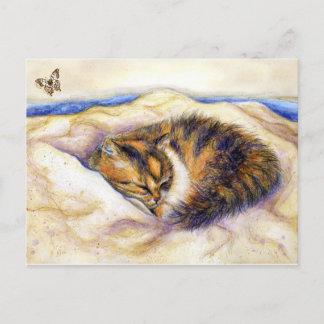 Mini Art Calico Cat Schlafen Postkarte