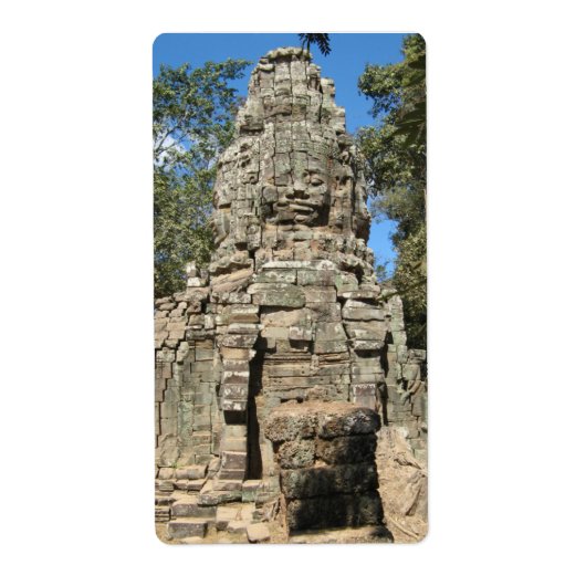 Mini Bayon ... Ta Prohm, Siem Reap, Kambodscha (Vorne)