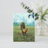 Mini Brown Pferd Feiertagspostkarte (Stehend Vorderseite)