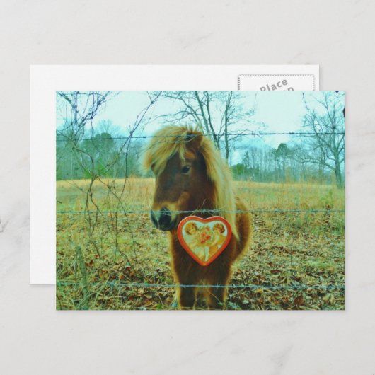 Mini Brown Pferd Feiertagspostkarte (Vorne/Hinten)