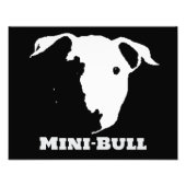 MINI BULL FOTODRUCK (Vorne)