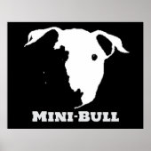 MINI BULL POSTER (Vorne)