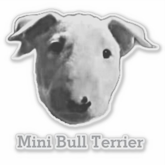 Mini Bull Terrier Aufkleber (Vorderseite)