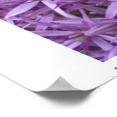 Mini Bumble Bee auf Allium Poster (Ecke)