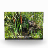 Mini Cattails Lagoon Fotoblock (Vorderseite)