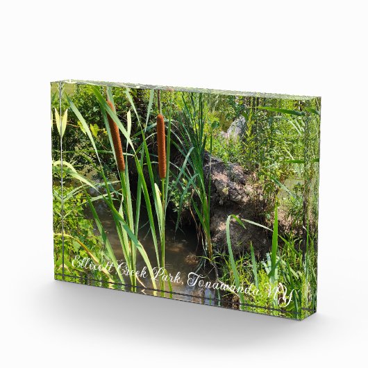 Mini Cattails Lagoon Fotoblock (Rechts)