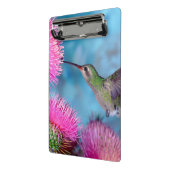 Mini Clipboard/Hummingbird Klemmbrett (Gewinkelt2)