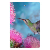 Mini Clipboard/Hummingbird Klemmbrett (Rückseite)