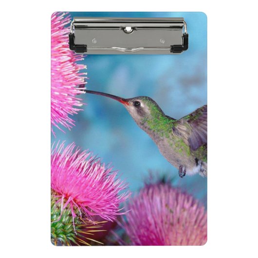 Mini Clipboard/Hummingbird Klemmbrett (Vorderseite)
