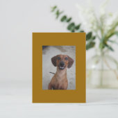 Mini-Dackel Postkarte (Stehend Vorderseite)