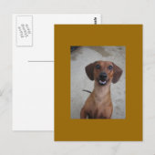 Mini-Dackel Postkarte (Vorne/Hinten)