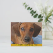 Mini-Dackel Postkarte (Stehend Vorderseite)