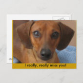 Mini-Dackel Postkarte (Vorne/Hinten)