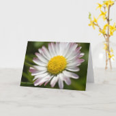 Mini Daisy Greetings Karte (Gelbe Blume)