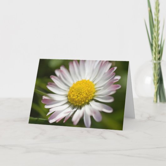 Mini Daisy Greetings Karte (Vorderseite)