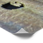 Mini Dragon Battle Poster (Ecke)