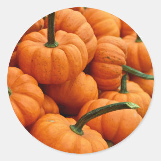 Mini Fall Pumpkin Foto Runder Aufkleber