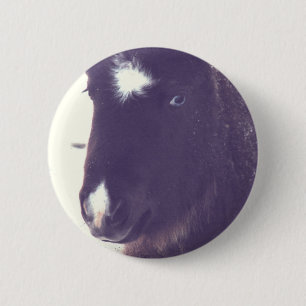 Mini Filly Grunge Button