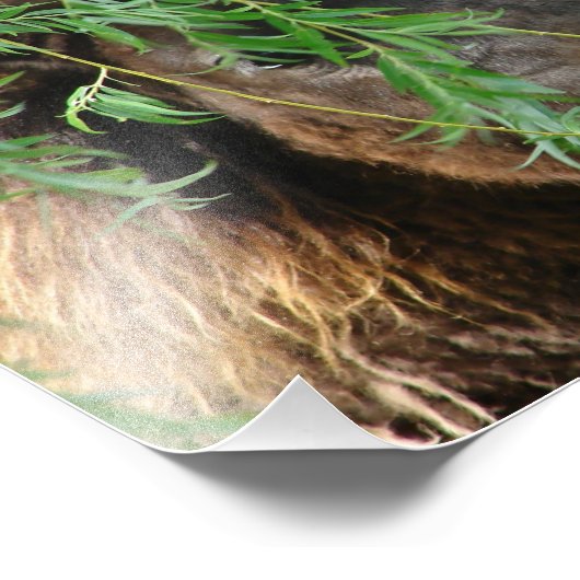 Mini Filly ist Onery Fotodruck (Ecke)