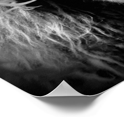 Mini Filly ist Onery Poster (Ecke)